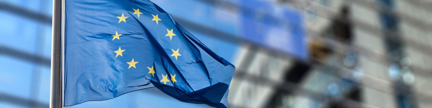 Europaflagge vor dem Europaparlament.